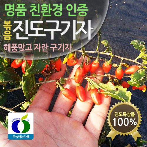 친환경 진도구기자 볶음 500g + 주머니(명품 진도 특산물 구기자) 무료배송!