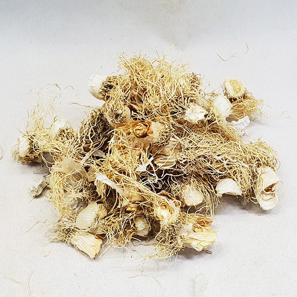 국내산 총백 파뿌리 대파뿌리 대파근 alliumroot