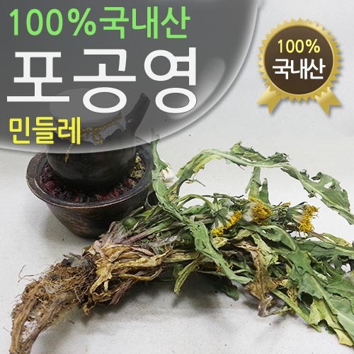 청정지역 국내산 포공영(민들레) 300g