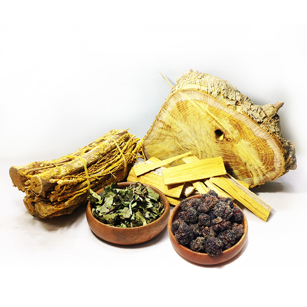 황금 꾸지뽕(구찌뽕/구지뽕/꾸찌뽕)효SET 1.4kg(줄기/가지/열매/껍질/잎)